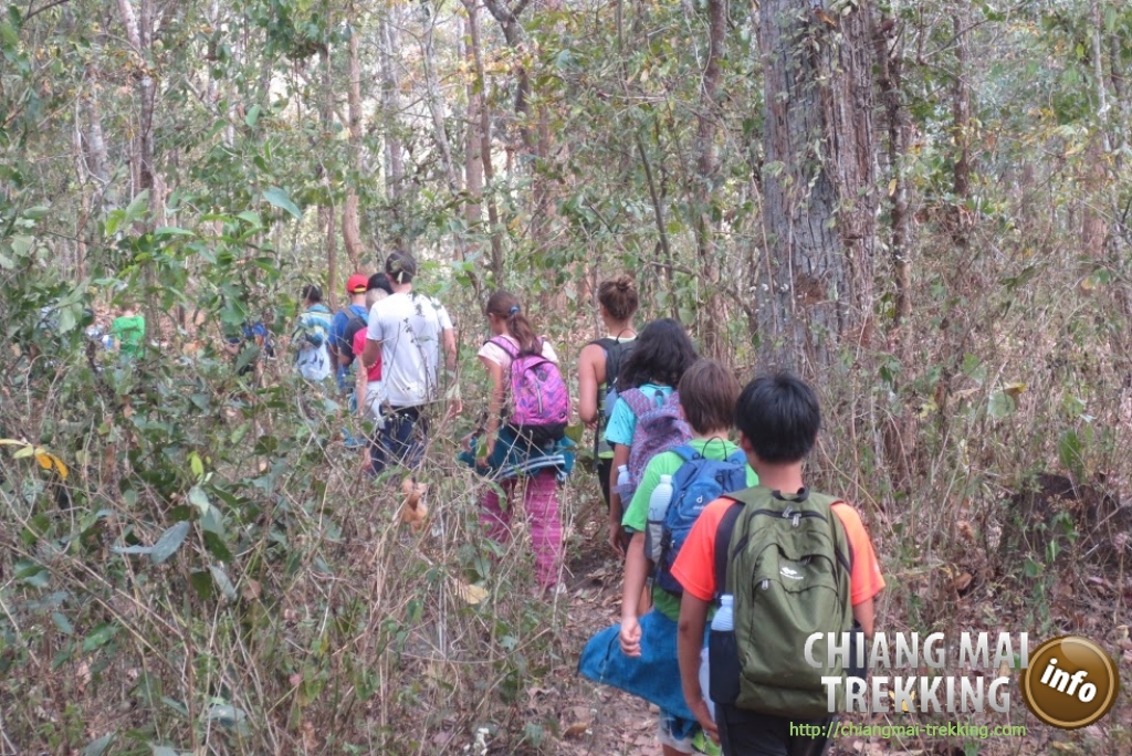 4-days/3-nights Trekking Tour | Chiang Mai Trekking | Das beste Trekking in Chiang Mai mit Piroon Nantaya